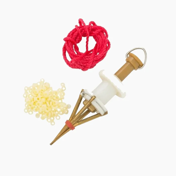 Пучковяз в ас-те